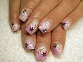 Bild 81