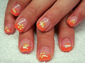 Bild 208